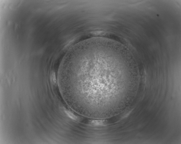 X0000081490089200701191909