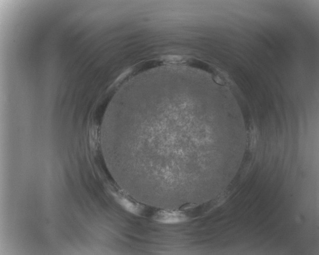 X0000081490093200701191909