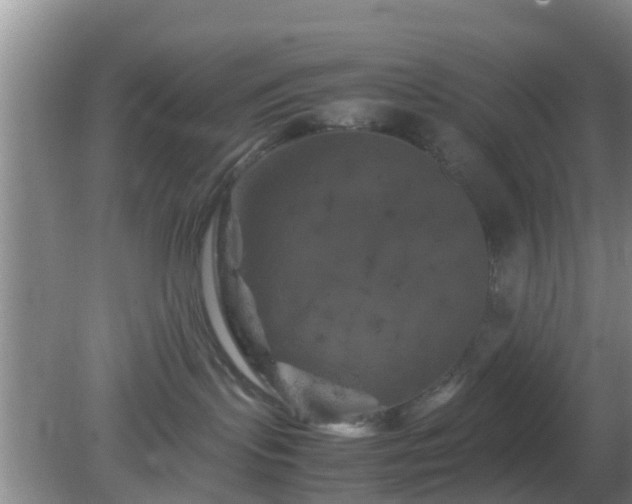 X0000081490095200701191909