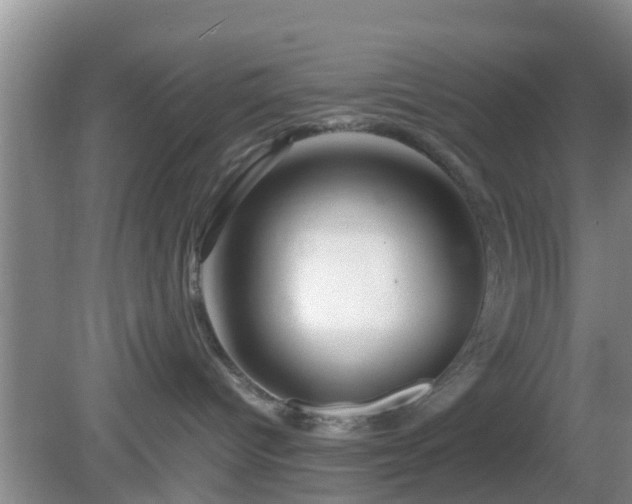 X0000081490096200701191909