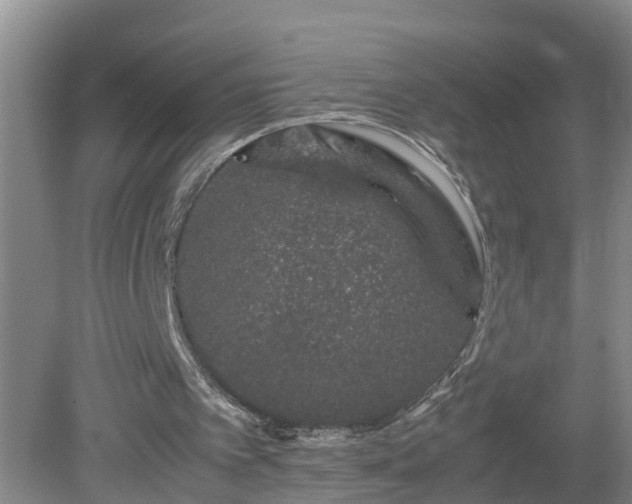 X0000081490097200701191909