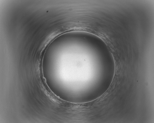 X0000081490098200701191909