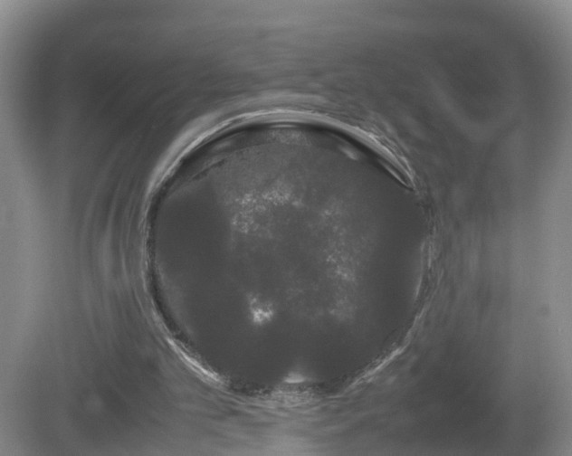 X0000081490101200701191909