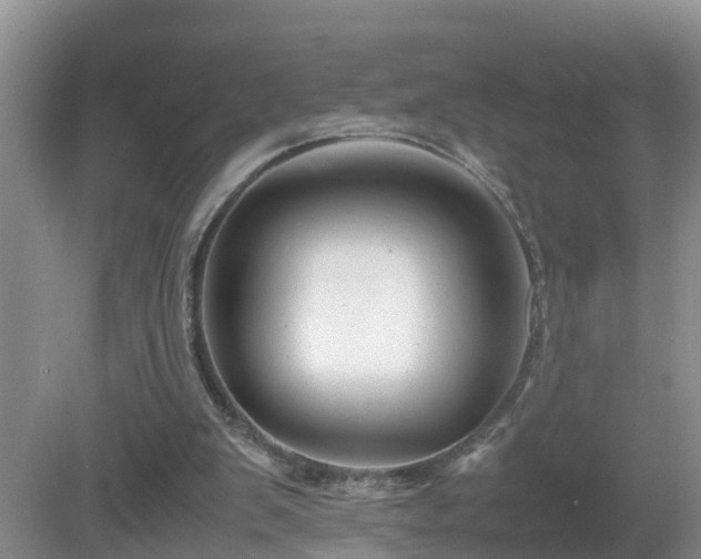 X0000081490103200701191909