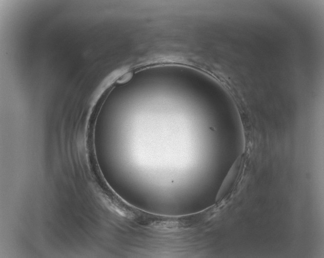 X0000081490104200701191909