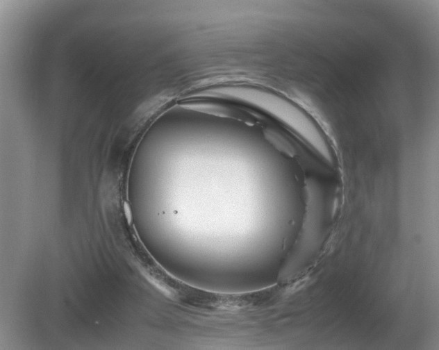 X0000081490105200701191909