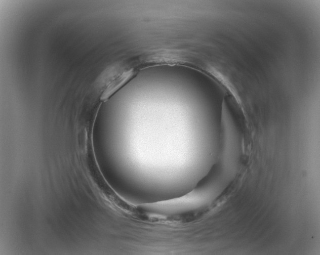 X0000081490109200701191908