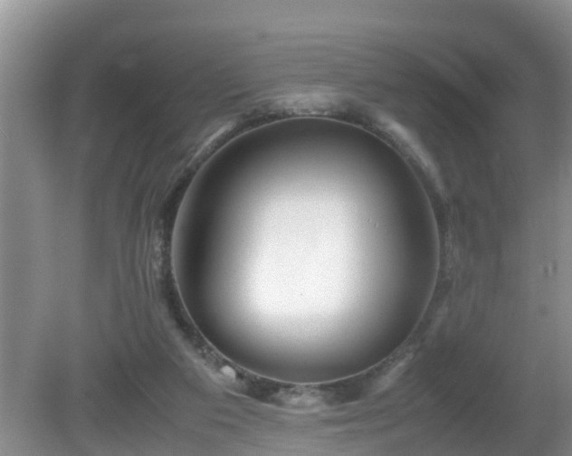 X0000081490113200701191908