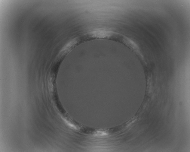 X0000081490114200701191908