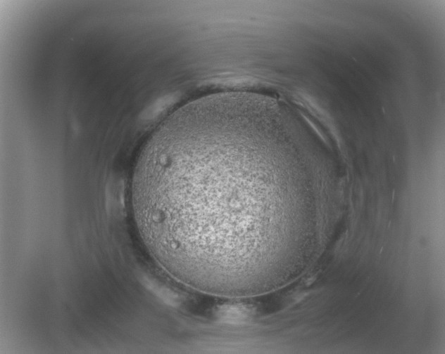 X0000081490115200701191908