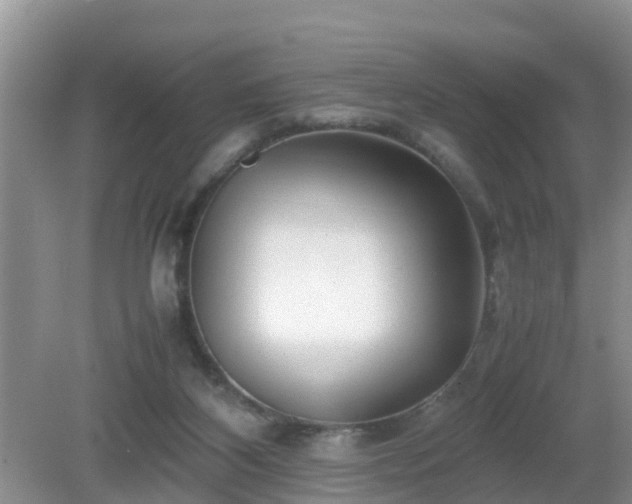 X0000081490116200701191908