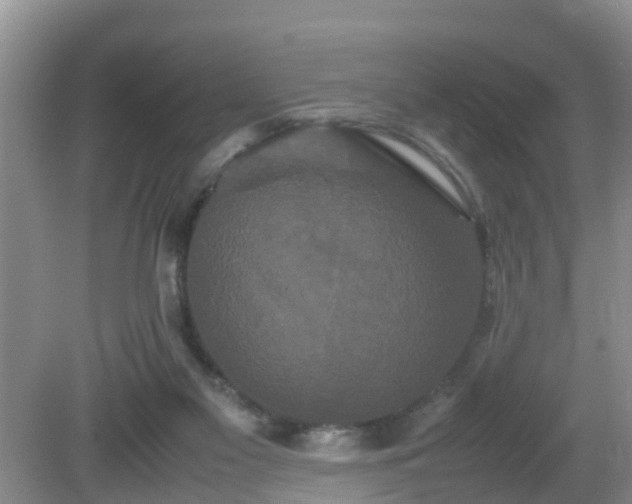 X0000081490117200701191908