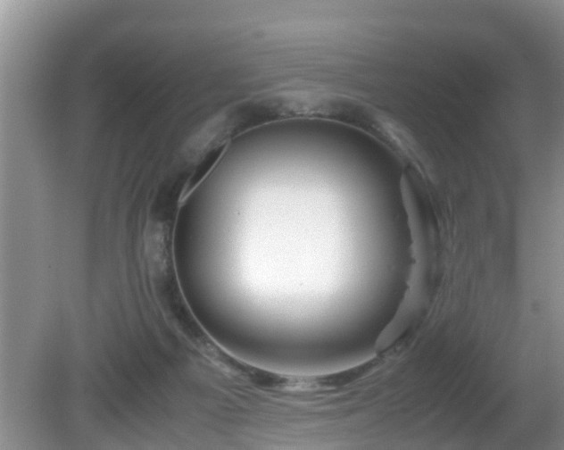 X0000081490121200701191908