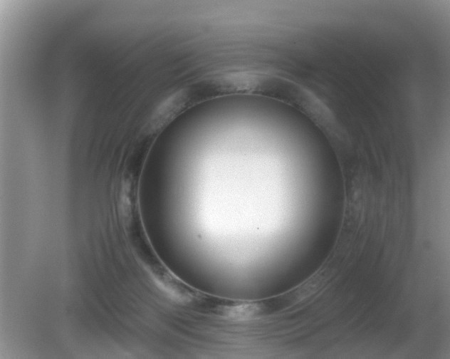 X0000081490122200701191908