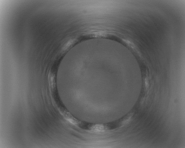 X0000081490123200701191908