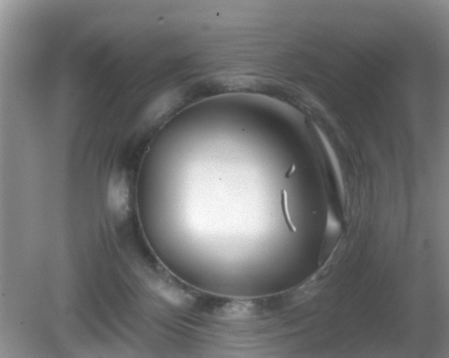 X0000081490124200701191908