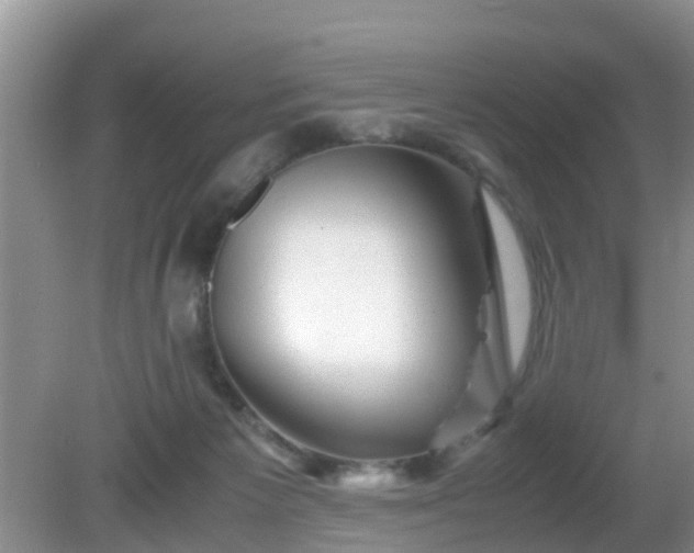 X0000081490125200701191908