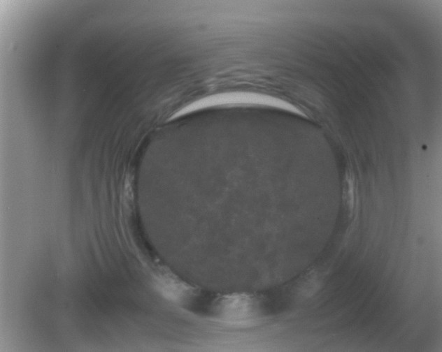 X0000081490127200701191908