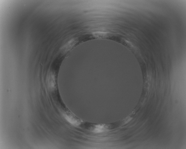 X0000081490130200701191908