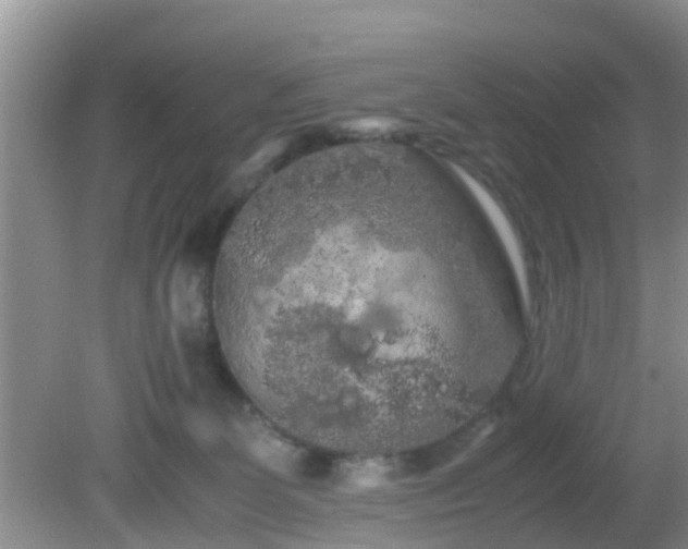 X0000081490131200701191908