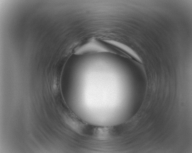 X0000081490134200701191908