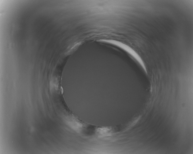 X0000081490139200701191908