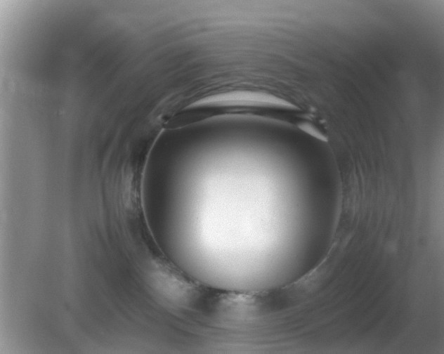 X0000081490140200701191908