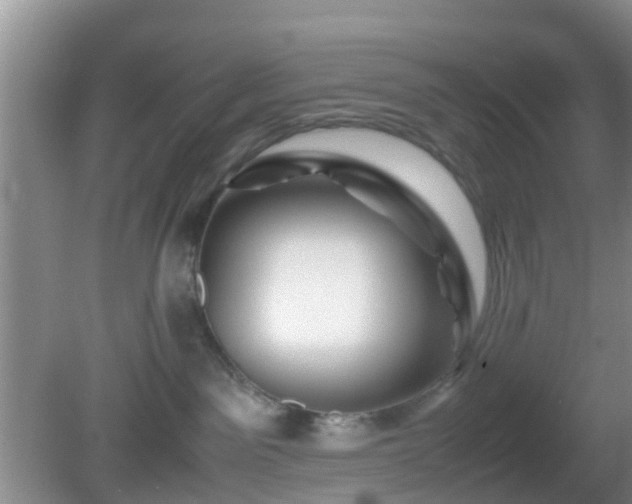 X0000081490141200701191908