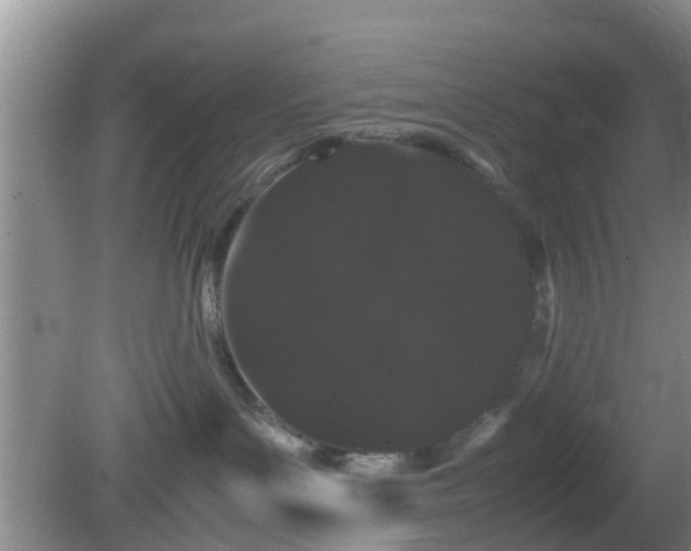 X0000081490143200701191908