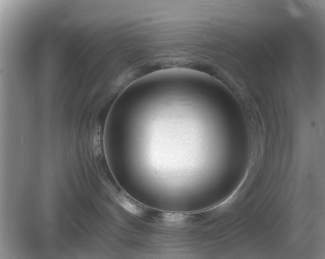 X0000081490144200701191908