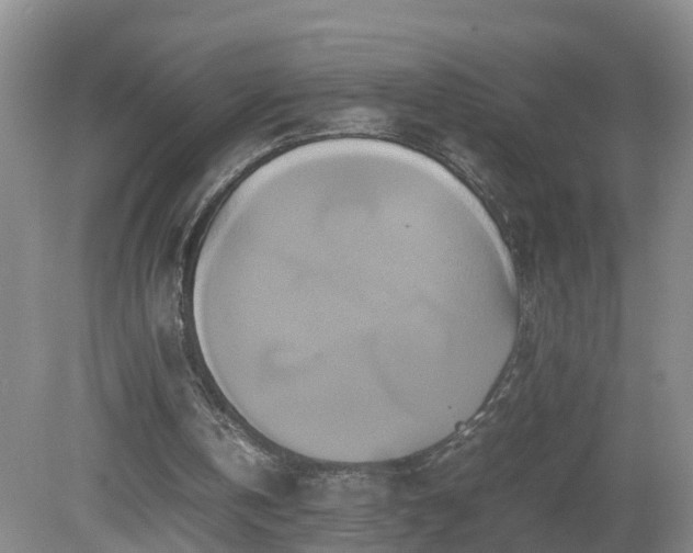 X0000081490146200701191907