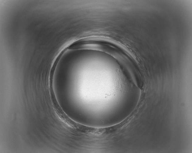 X0000081490148200701191907