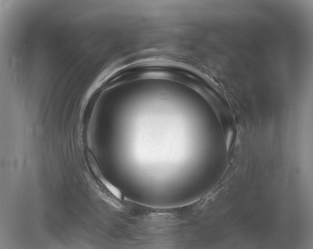 X0000081490150200701191907