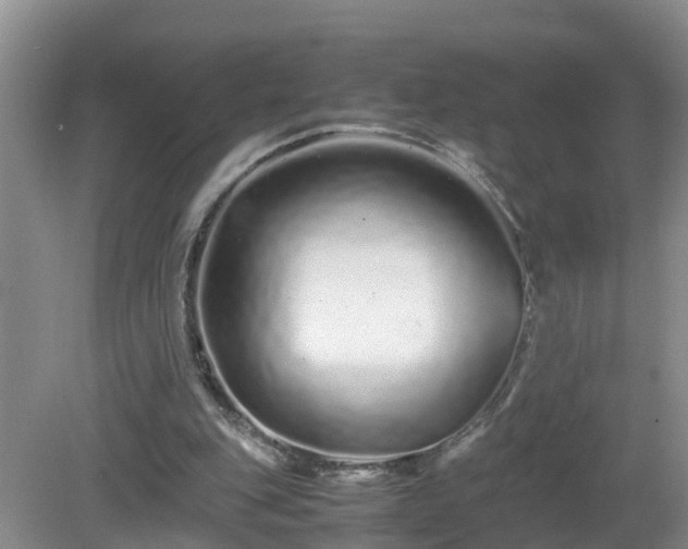 X0000081490151200701191907