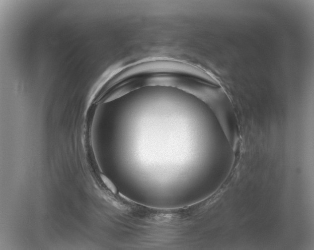 X0000081490152200701191907