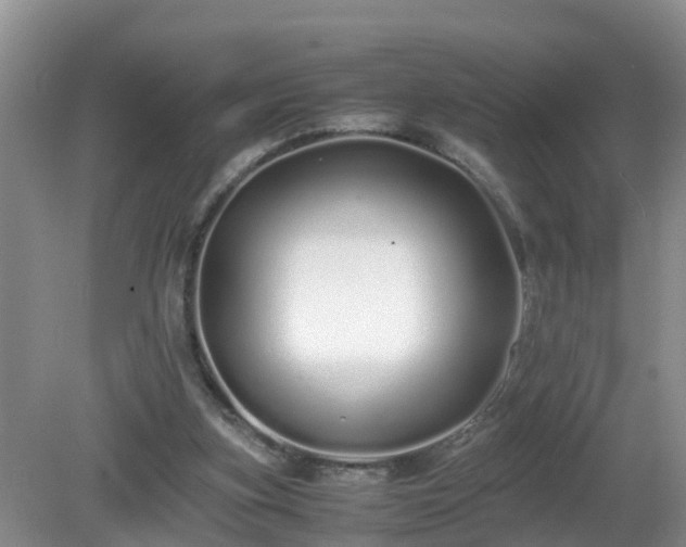 X0000081490155200701191907