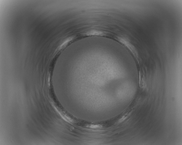 X0000081490157200701191907