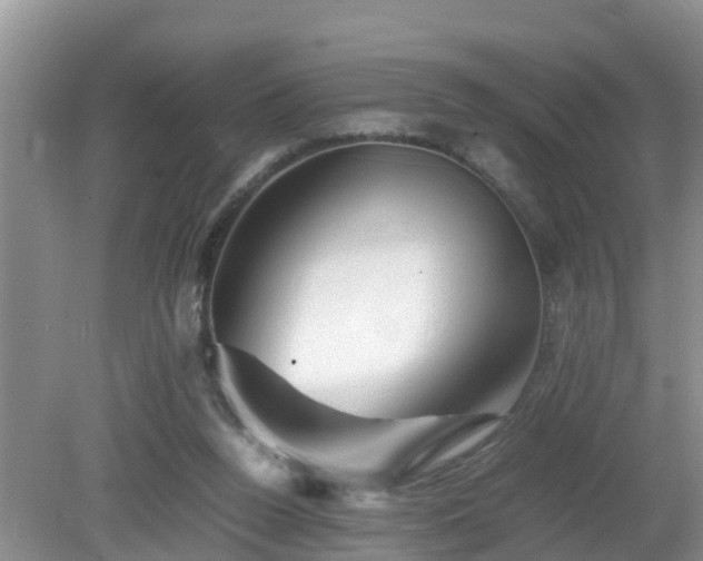 X0000081490160200701191907