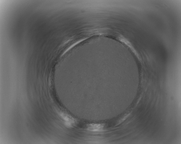 X0000081490161200701191907