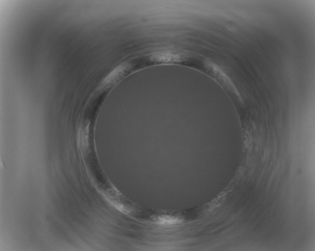 X0000081490163200701191907