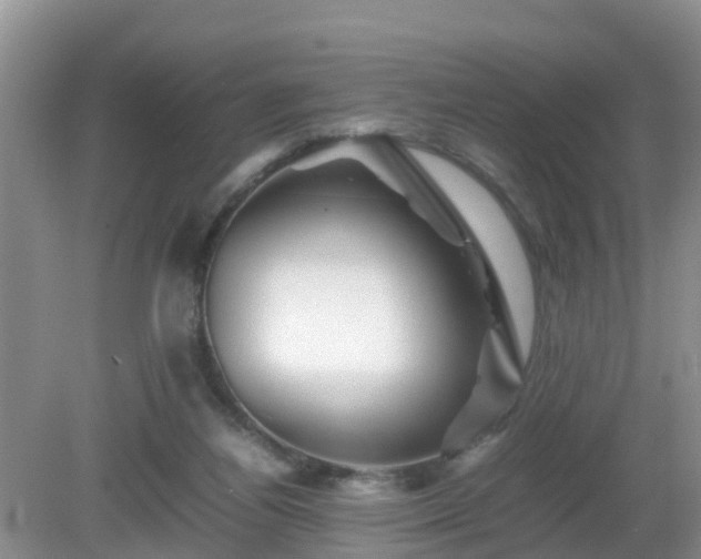 X0000081490164200701191907