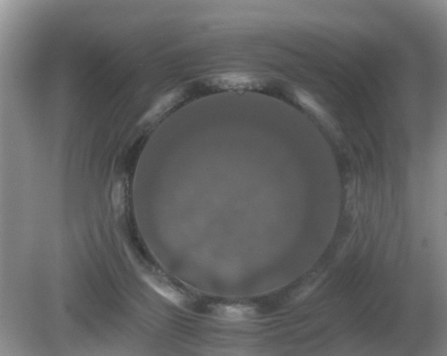 X0000081490165200701191907