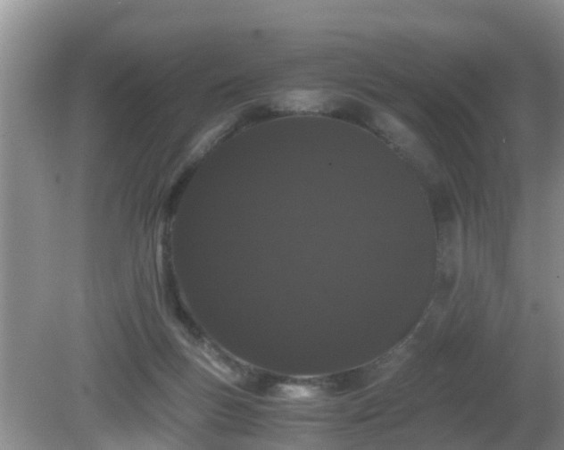 X0000081490167200701191907