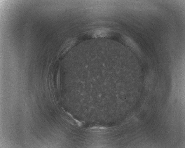 X0000081490169200701191907