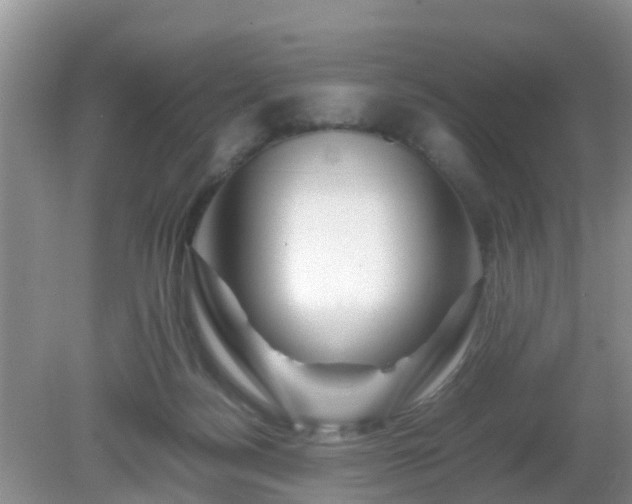 X0000081490172200701191907