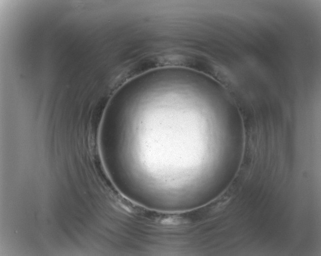 X0000081490173200701191908