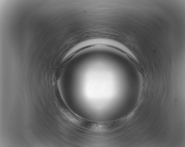 X0000081490174200701191908