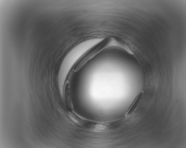 X0000081490176200701191908