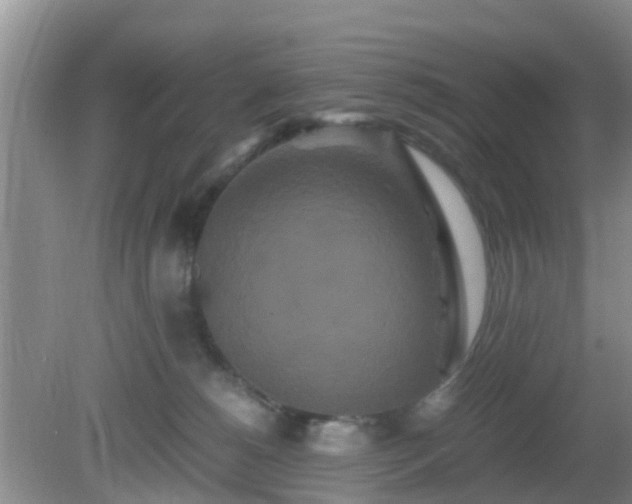 X0000081490180200701191908