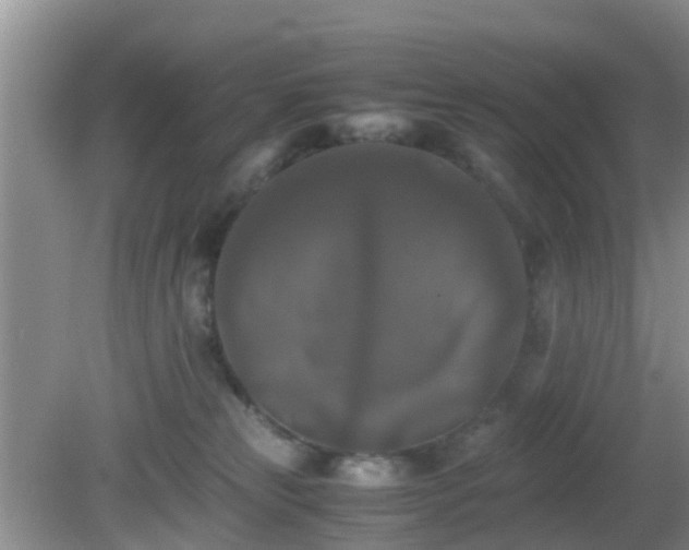 X0000081490181200701191908